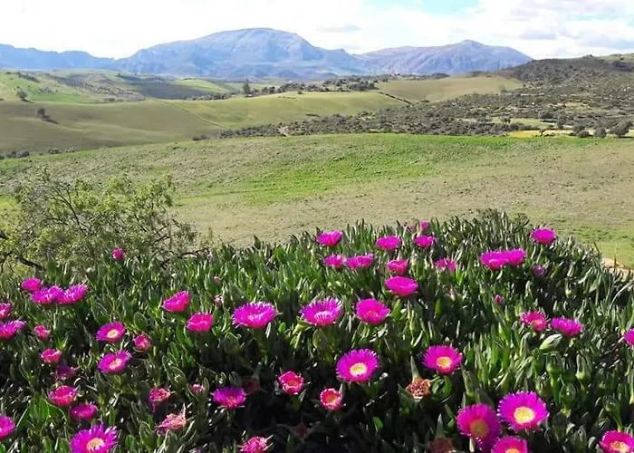 Lägenhet Casa Al Cerro *