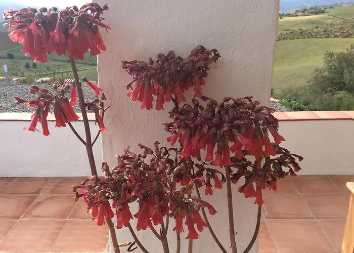 Lägenhet Casa Al Cerro *